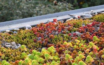 the cost of Lyngford green roof installation