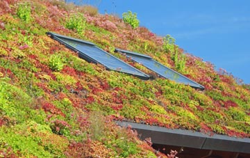 Lyngford living roof systems