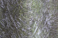 Lyngford fibreglass roof work